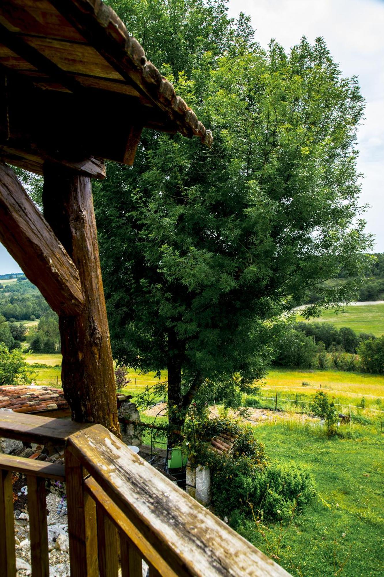 Maison de vacances Le Mas des papillons Fargues  Exterior foto
